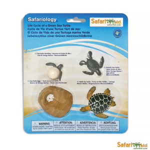 Набор Жизненный цикл зеленой морской черепахи, Safari Ltd